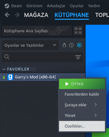 Steam Ayarları