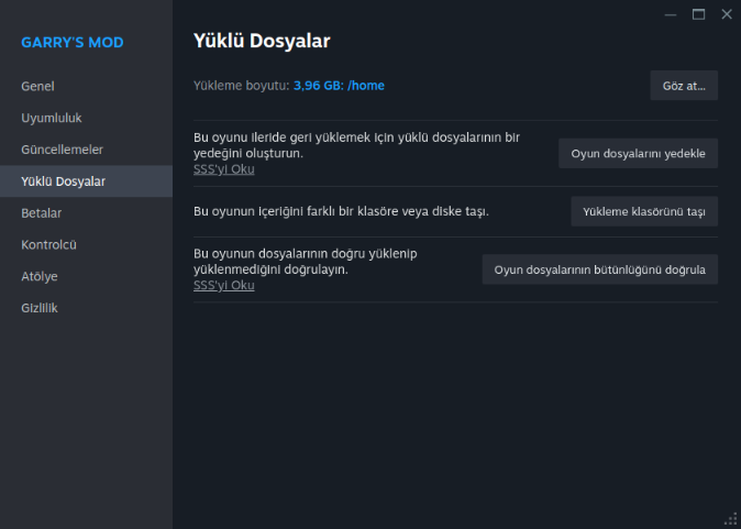Steam Yüklü Dosyalar