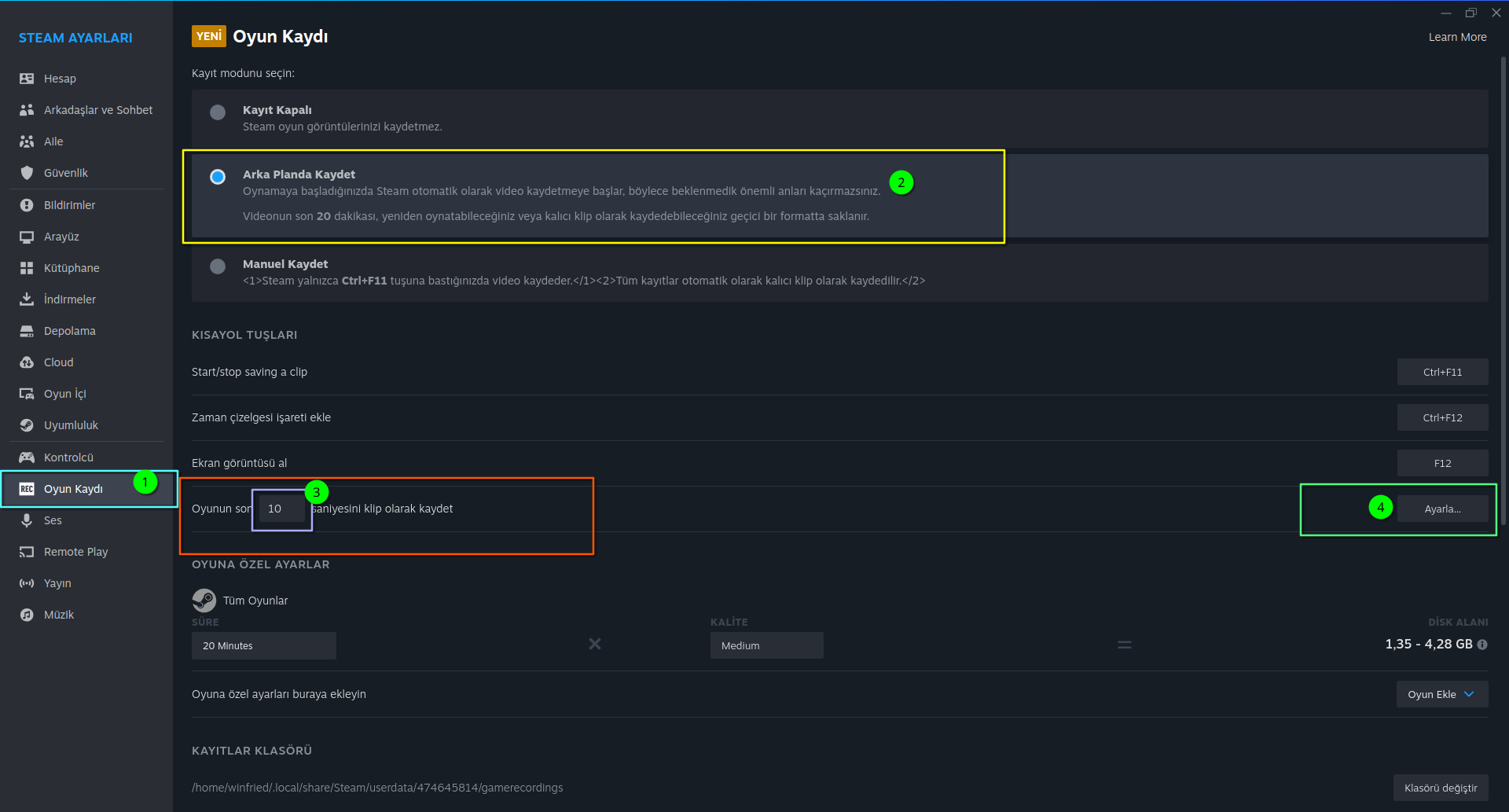 Steam Ayarlar - Oyun Kaydı