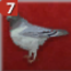 Piegon Bomb (Güvercin Bombası)